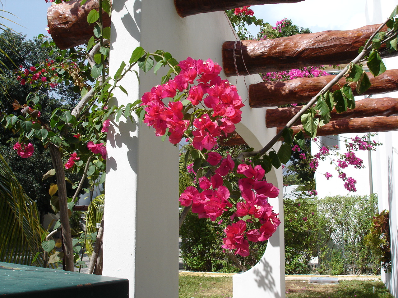 Mediterrane Architektur mit Blüten und Pergola